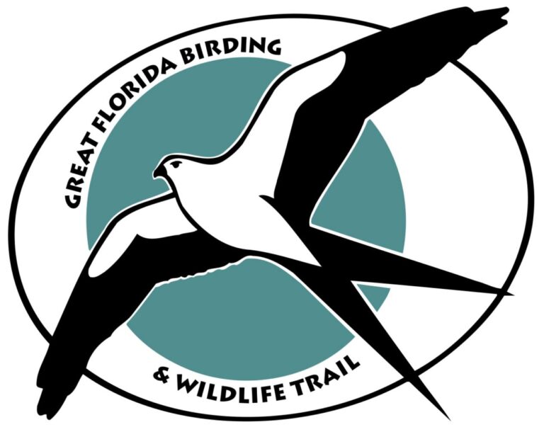 John R. Bonner Nature Park: A Birder’s Paradise on the Intracoastal