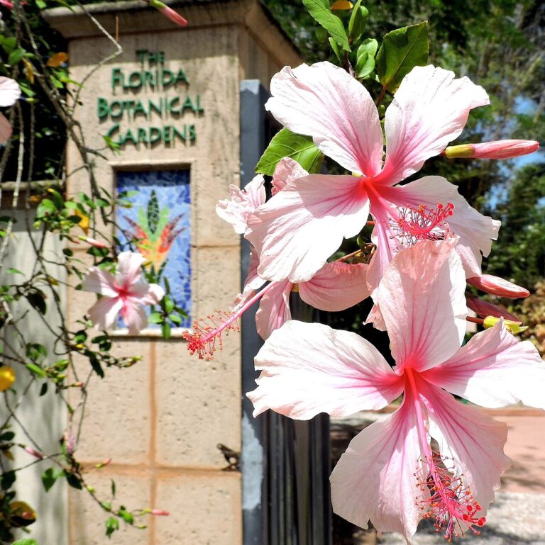 Florida Botanical Gardens: A Free Tropical Oasis in Largo