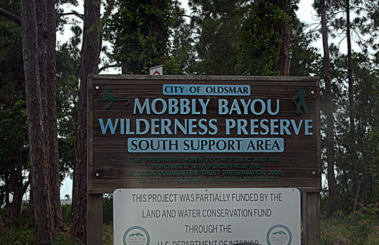 Mobbly Bayou Wilderness Preserve: Where Adventure Meets Untamed Florida Wilderness
