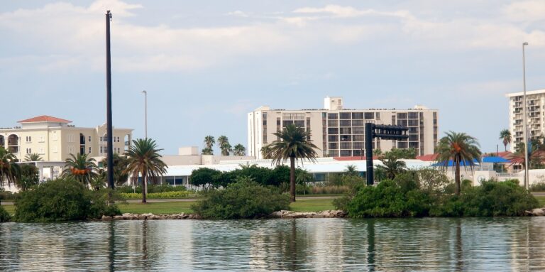 Clearwater Marine Aquarium: Where Rescued Animals Inspire and Heal