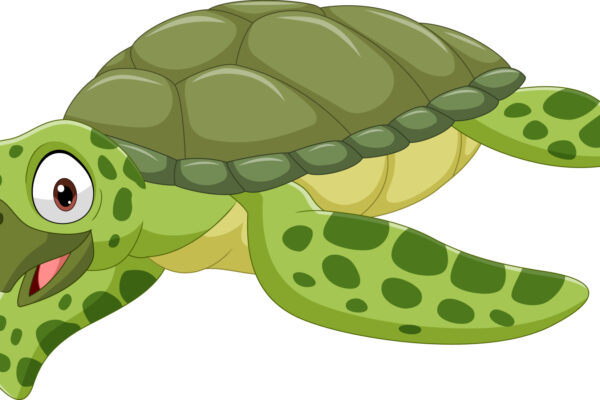 Turtle Cartoon