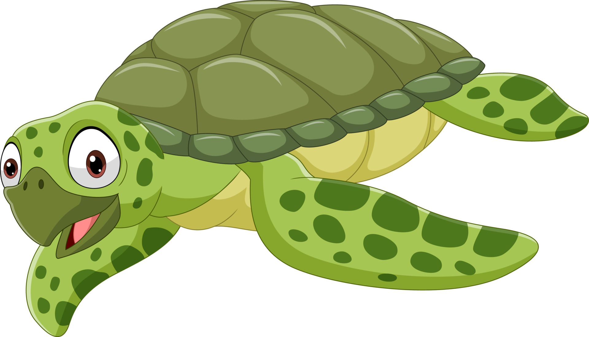 Turtle Cartoon