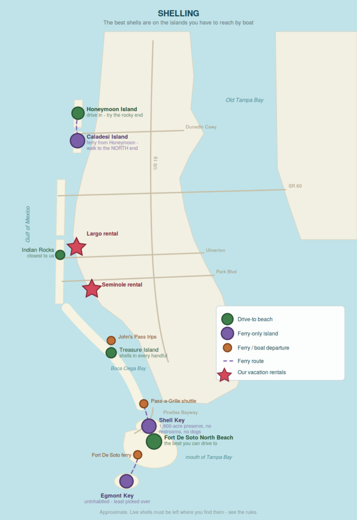 Shelling beaches near our vacation rentals Map of the Pinellas County coast showing the best shelling beaches, from Honeymoon and Caladesi Islands in the north to Shell Key, Fort De Soto and Egmont Key in the south, marking which are reachable by car and which need a ferry, relative to our two vacation rentals in Largo and Seminole. Gulf of Mexico Old Tampa Bay Boca Ciega Bay mouth of Tampa Bay US 19 SR 60 Ulmerton Park Blvd Dunedin Cswy Pinellas Bayway Honeymoon Island drive in - try the rocky end Fort De Soto North Beach the best you can drive to Treasure Island shells in every handful Indian Rocks closest to us Caladesi Island ferry from Honeymoon - walk to the NORTH end Shell Key 1,800-acre preserve, no restrooms, no dogs Egmont Key uninhabited - least picked over Pass-a-Grille shuttle Fort De Soto ferry John's Pass trips Largo rental Seminole rental SHELLING The best shells are on the islands you have to reach by boat Drive-to beach Ferry-only island Ferry / boat departure Ferry route Our vacation rentals Approximate. Live shells must be left where you find them - see the rules.